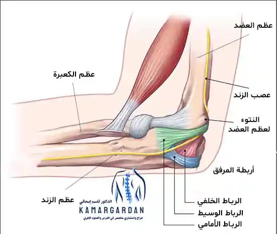 آلام المرفق وطرق علاج آلام المرفق