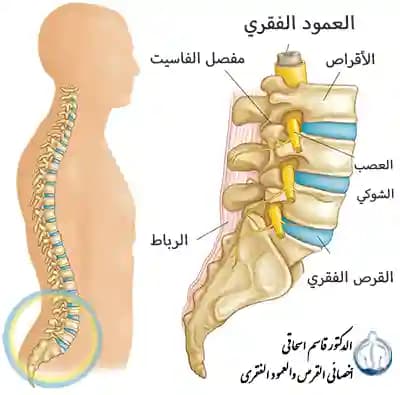 القرص القطني وطرق جديدة لعلاج القرص القطني القرص القطني وطرق جديدة لعلاج القرص القطني