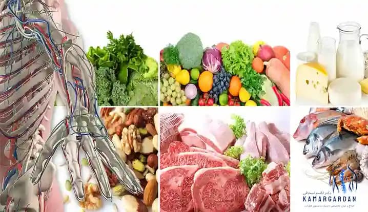 اطلاعات عمومی ساختار اسکلتی بدن اطلاعات عمومی ساختار اسکلتی بدن