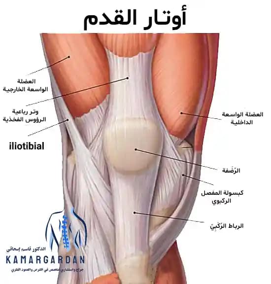 أحدث التمارين المفيدة لتقوية الركبة أحدث التمارين المفيدة لتقوية الركبة